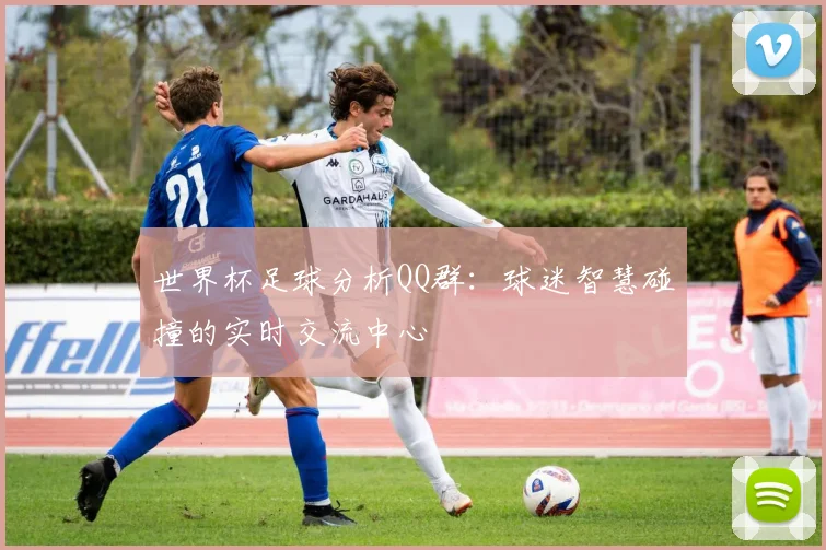 世界杯足球分析QQ群：球迷智慧碰撞的实时交流中心