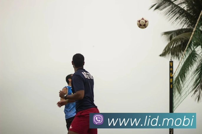 开云手机登录官网平台生态图